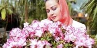 حاشیه های جنجالی بهاره رهنما +عکس


