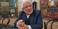 بادامچیان: برخی اصلاح طلبان نق می زنند یا تندرو هستند/ بهزاد نبوی فرسوده  و با عصا راه می‌رود