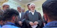 محسنی‌اژه‌ای: سارقان سابقه‌دار نباید مورد عفو قرار بگیرند