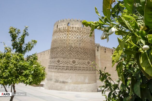 بوی بهار نارنج در اردیبهشت شیراز