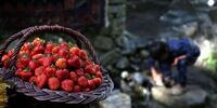 با این  خوراکی‌ها  بهتر بخوابید 
