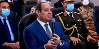 کشت گیاهان زینتی در این کشور ممنوع شد!