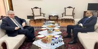 گفت و گوی مهم سفرای 2  کشور همسایه ایران در تهران 