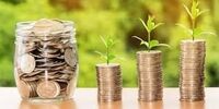 جزئیات مهم درباره سناریوی جدید حمایتی شورای عالی بورس