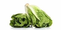 فریزکردن این مواد غذایی اشتباه است 
