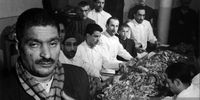ورود زنان به چلو کبابی ممنوع!+تصاویر