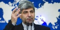 مهمان‌پرست: ائتلاف وحدت ملی به دنبال فرد خاصی نیست
