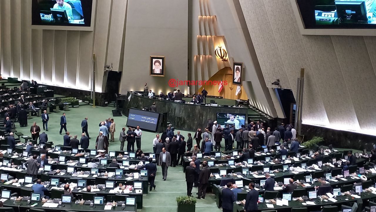 عکسی متفاوت از نیکزاد و ذوالنور در صحن علنی مجلس