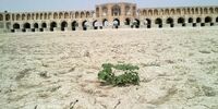 چرا زاینده‌رود پس فردا بسته می‌شود؟